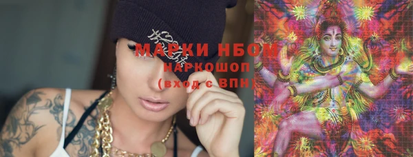 амф Арсеньев