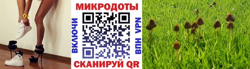 Галлюциногенные грибы Psilocybine cubensis  что такое   Ясный 